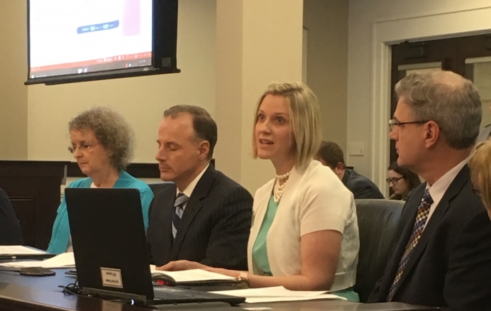 Laura Dickinson introducing a resolution honoring pregnancy centers at Kentucky&#039;s Health and Family Services Committee.