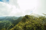 Hawaii Protects Conscience Rights for Pro-life Pregnancy Centers Following Investigation for Discrimination by Trump Admin