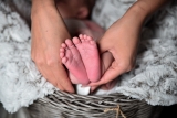 Survival rate of pre-term babies in America significantly improved over the past decade, study finds