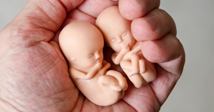 Record-high number of abortions in England and Wales in 2021