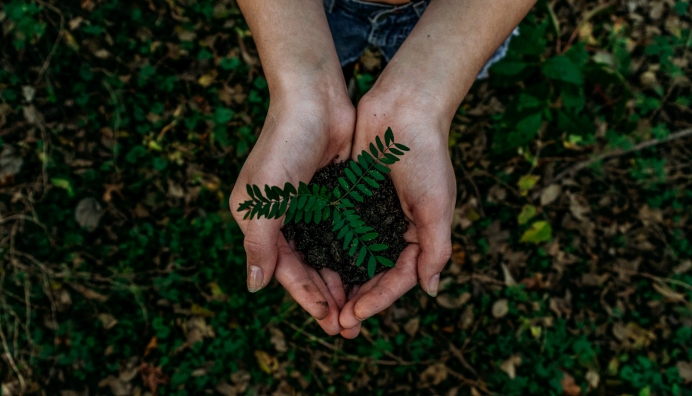 The urgency of reinvention