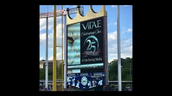 As Vitae celebrates 25 years serving women with life-affirming help, Kansas City abortion fanatics are coming unglued.