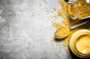 The Need for Mustard Seed Faith in a Pregnancy Center