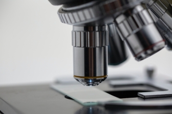 Pro-life lawmakers urge Trump to end federal funding for human embryonic stem cell research