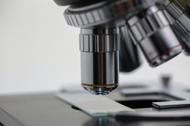 Pro-life lawmakers urge Trump to end federal funding for human embryonic stem cell research