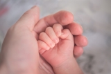 A week of pro-life wins: Multiple governors sign pro-life laws