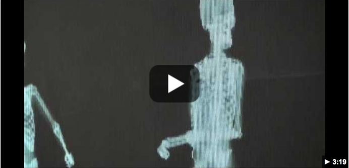 What is the Christian Response to the Skeleton Video?