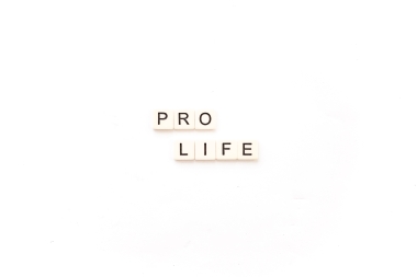 What Google can tell us about the abortion debate