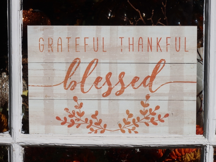 Ten reasons you can be thankful you’re in pro-life ministry