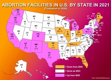 The status of American abortion facilities: Telemedicine&rsquo;s impact in 2021
