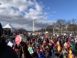 The 2023 March for Life Rally crowd