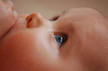 Why human life is sacred, beginning in the womb