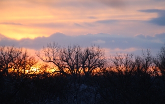 Lights in the darkness, being spring in someone’s winter