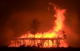 Fires raging throughout California have destroyed over 2,000 homes and businesses.